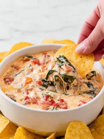 Spinach Queso Dip Recipe