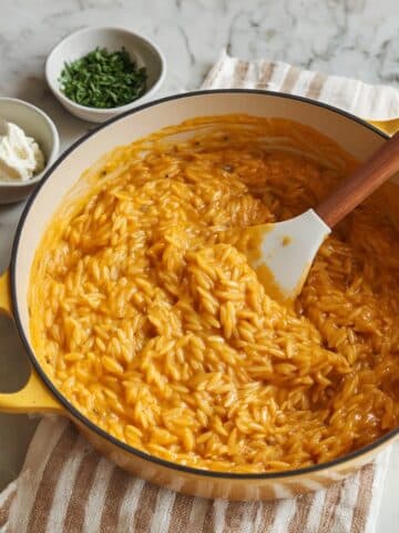 Creamy Pumpkin Orzo Recipe