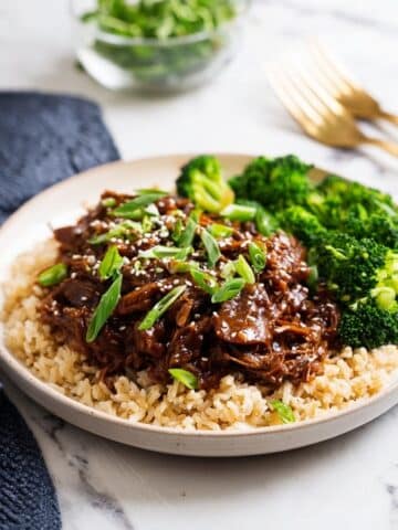Slow Cooker Honey Garlic Chicken Recipe