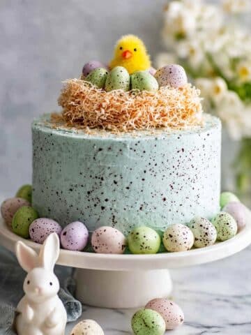 Easter Cake with Coconut Nest and Speckled Chocolate Details Recipe