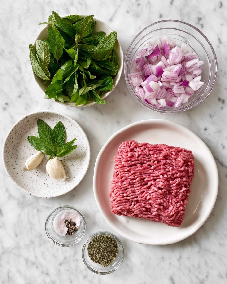 The image shows six white dishes arranged on a white marbled surface. The largest dish at the bottom holds a thick, square layer of raw ground meat with a red and pink texture. To the top right is a clear bowl filled with chopped red onions, purplish with white pieces. Next to it, a white speckled plate holds three garlic cloves with a light tan color and several fresh green mint leaves. To the top left, a white bowl contains fresh green parsley leaves. Below, two small clear bowls hold ground black pepper mixed with pink salt, and dried green herbs, respectively. Photo taken with an iphone --ar 4:5 --v 7