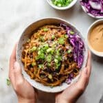 Thai Peanut Noodles with Chicken Recipe