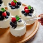 Lemon Posset Recipe