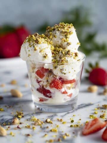 Coconut Milk and Cashew Ice Cream Recipe