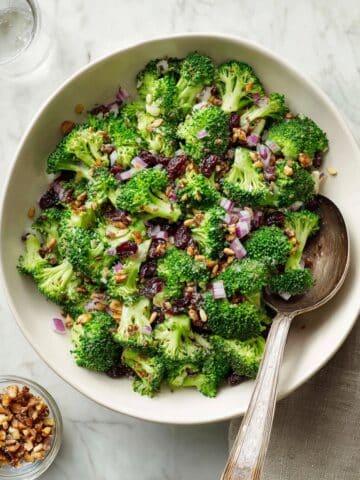 Broccoli Salad with Sunflower Seeds Cranberries and Honey Dressing Recipe