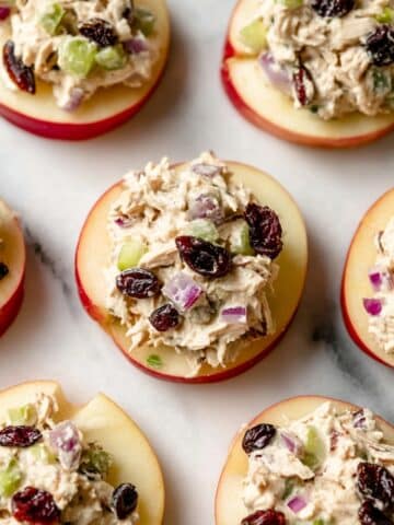 Cranberry Chicken Salad on Apple Slices Recipe