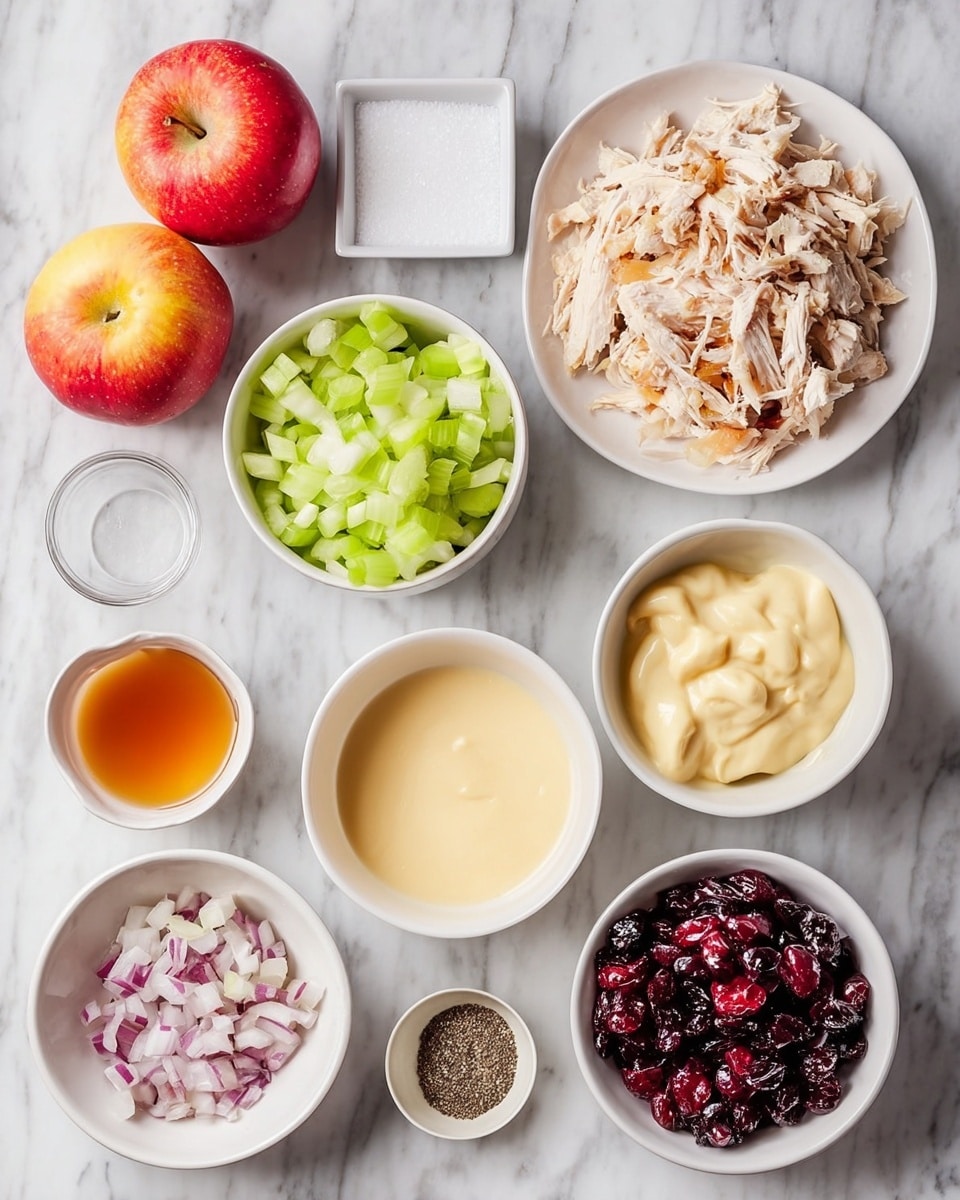 The image shows several white bowls and plates with ingredients on a white marbled surface. In the top right, there is a white plate filled with shredded light brown chicken. To its left, a white bowl holds chopped pale green celery. Above the chicken is a small square white bowl filled with white salt. Below the chicken is a white bowl with creamy, light yellow mayonnaise. Near the bottom center, a white bowl contains dark red dried cranberries. To the left of the cranberries, a bowl holds finely chopped white and light purple onions. Above this is a small bowl with amber-colored liquid, likely apple cider vinegar. On the far left, there are two red-and-yellow apples, and above them, a small square bowl with black pepper. All the items are arranged neatly on the white marbled surface. Photo taken with an iphone --ar 4:5 --v 7