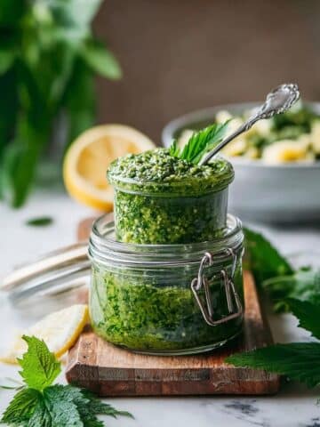 Stinging Nettle Pesto (Vegan) Recipe