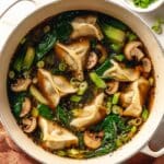Potsticker Soup Recipe