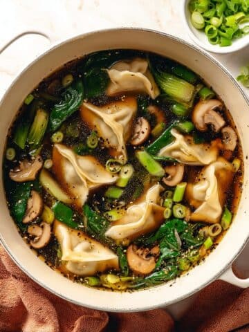 Potsticker Soup Recipe