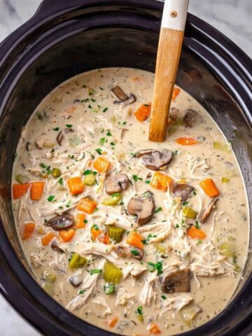 Crock Pot Chicken Wild Rice Soup Recipe