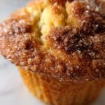 Cinnamon Apple Muffins Recipe