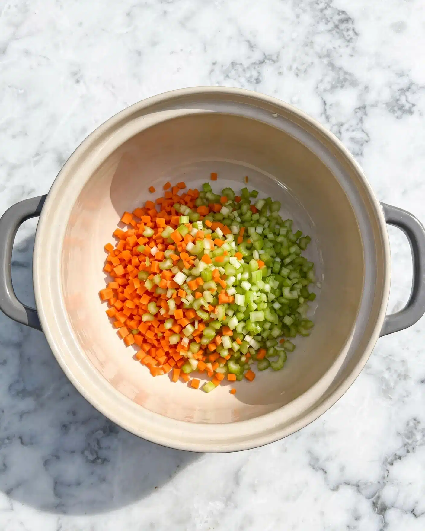 Hearty Chicken Noodle Soup with Fresh Vegetables Recipe 4 A round light beige pot with gray handles sits on a white marbled surface. Inside the pot, there is a small pile of finely chopped vegetables, with bright orange carrot pieces on the left and light green celery pieces on the right, mixed together in the center. The pot’s inside is smooth and clean with a soft shine, highlighting the fresh vegetables. photo taken with an iphone --ar 4:5 --v 7
